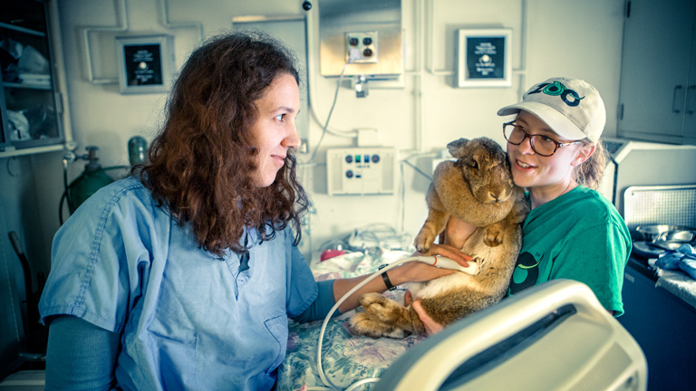 Sarrah Kaye '12 examines a patient in the veterinary clinic at the Staten Island Zoo.
